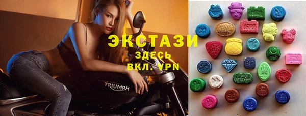 индика Богданович