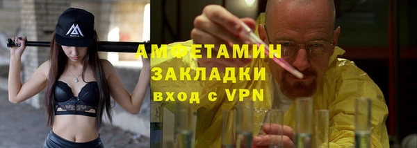 гидра Богородицк