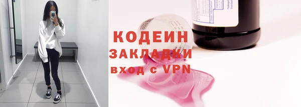прущие грибы Гусев