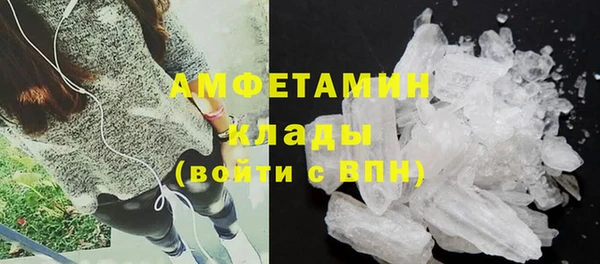 гидра Богородицк