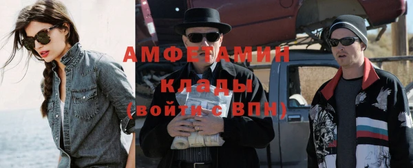 индика Богданович