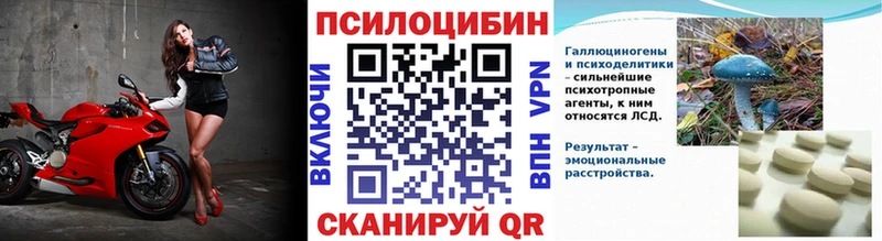 Псилоцибиновые грибы GOLDEN TEACHER купить закладку Пионерский